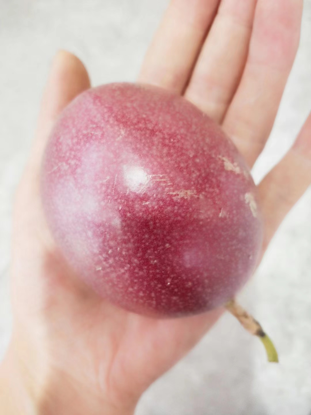 極品百香果 極品百香果