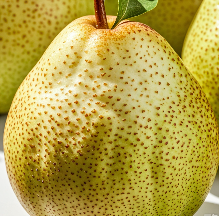 梨免費信息發布 梨免費信息發布